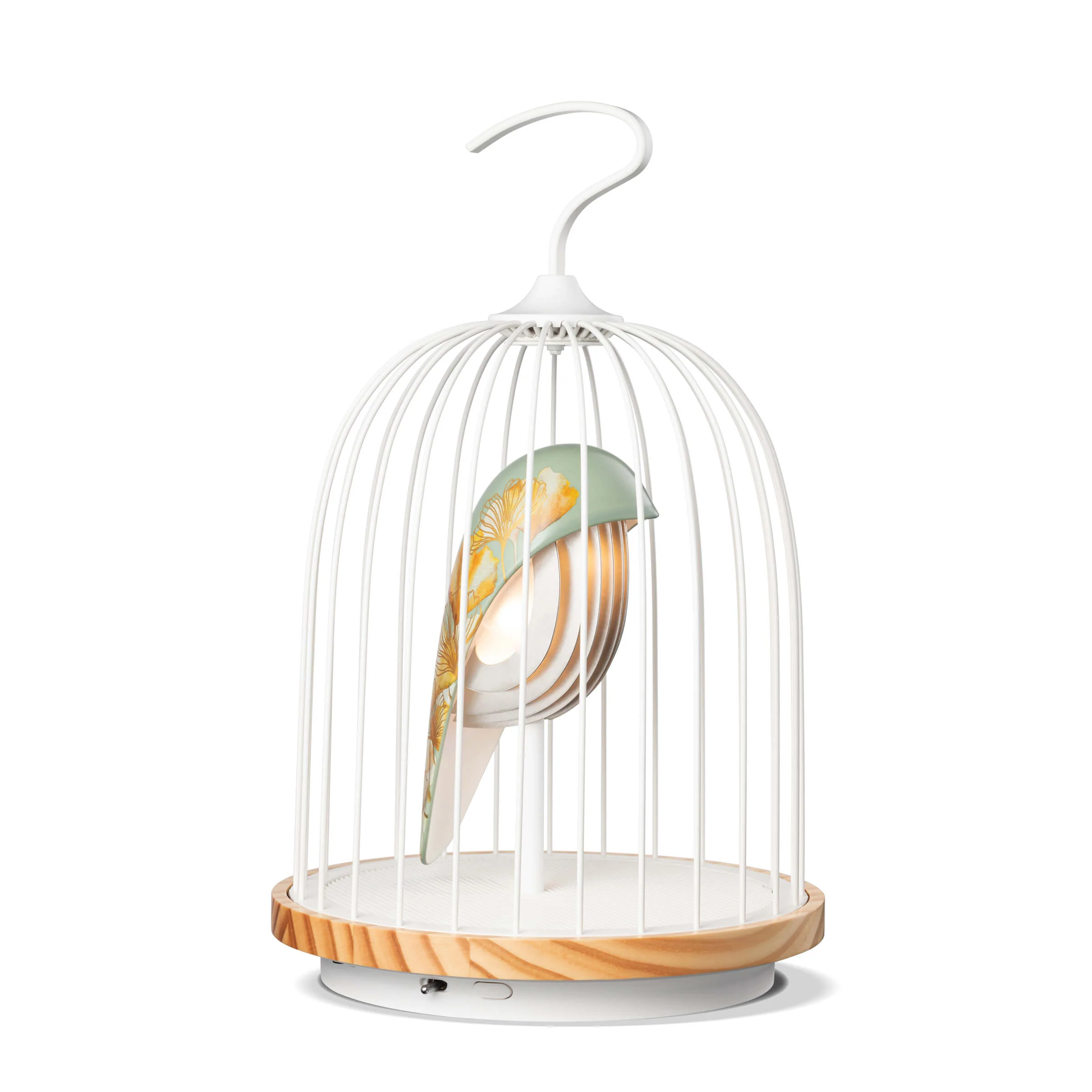 Oriental Garden Bluetooth Speaker + Light JINGOO