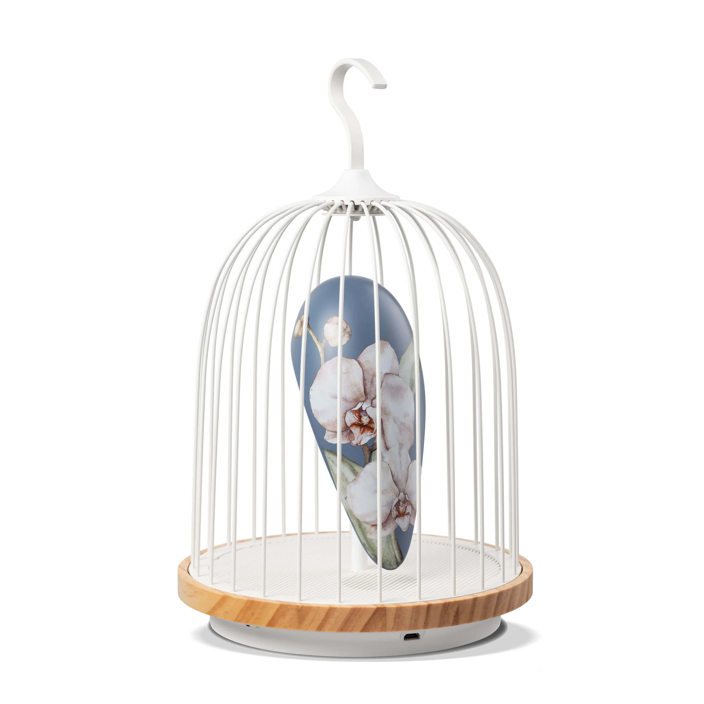 Oriental Garden Bluetooth Speaker + Light JINGOO - Image 5
